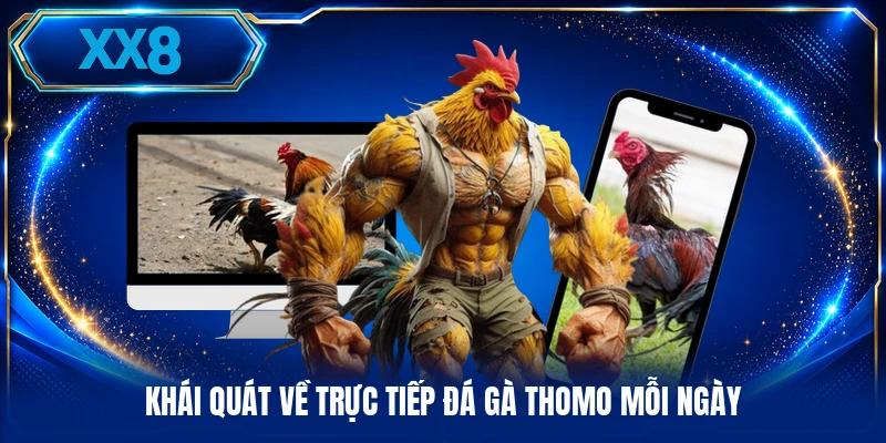 Trực Tiếp Đá Gà Thomo - Xem Diễn Biến Thực Tế Mỗi Ngày Khái quát về trực tiếp đá gà Thomo mỗi ngày