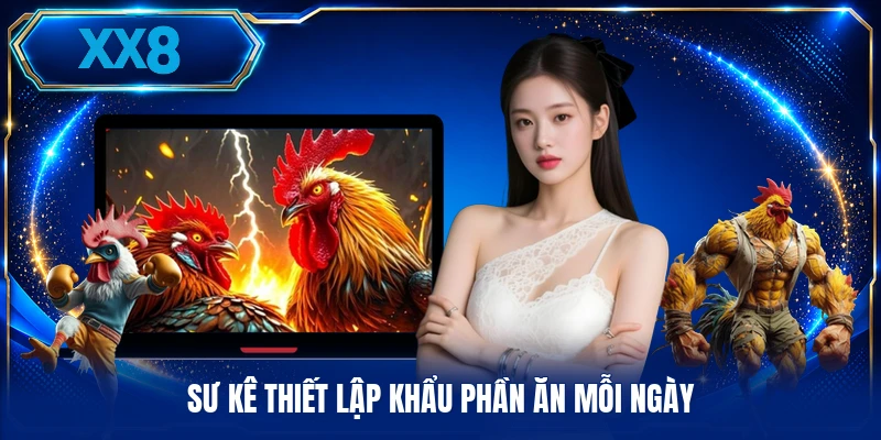 Kinh Nghiệm Nuôi Gà - Phương Pháp Chăm Sóc Toàn Diện Sư kê thiết lập khẩu phần ăn mỗi ngày