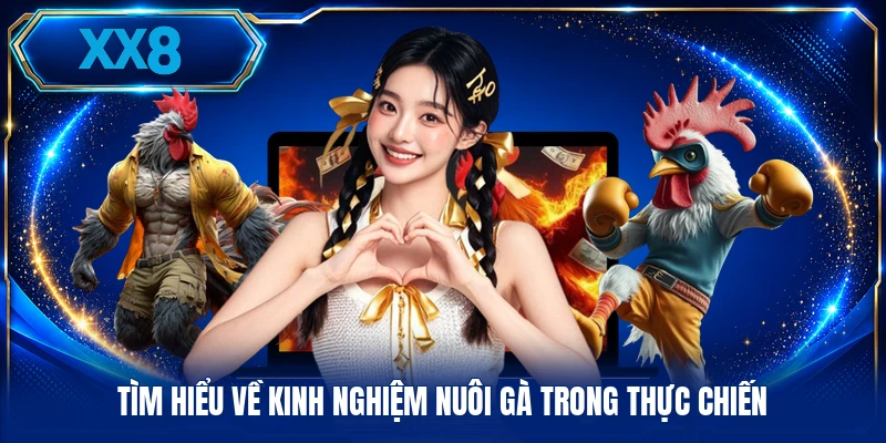 Kinh Nghiệm Nuôi Gà - Phương Pháp Chăm Sóc Toàn Diện Tìm hiểu về kinh nghiệm nuôi gà trong thực chiến