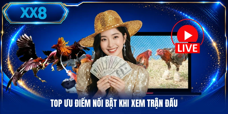 Trực Tiếp Đá Gà Thomo - Xem Diễn Biến Thực Tế Mỗi Ngày Top ưu điểm nổi bật khi xem trận đấu
